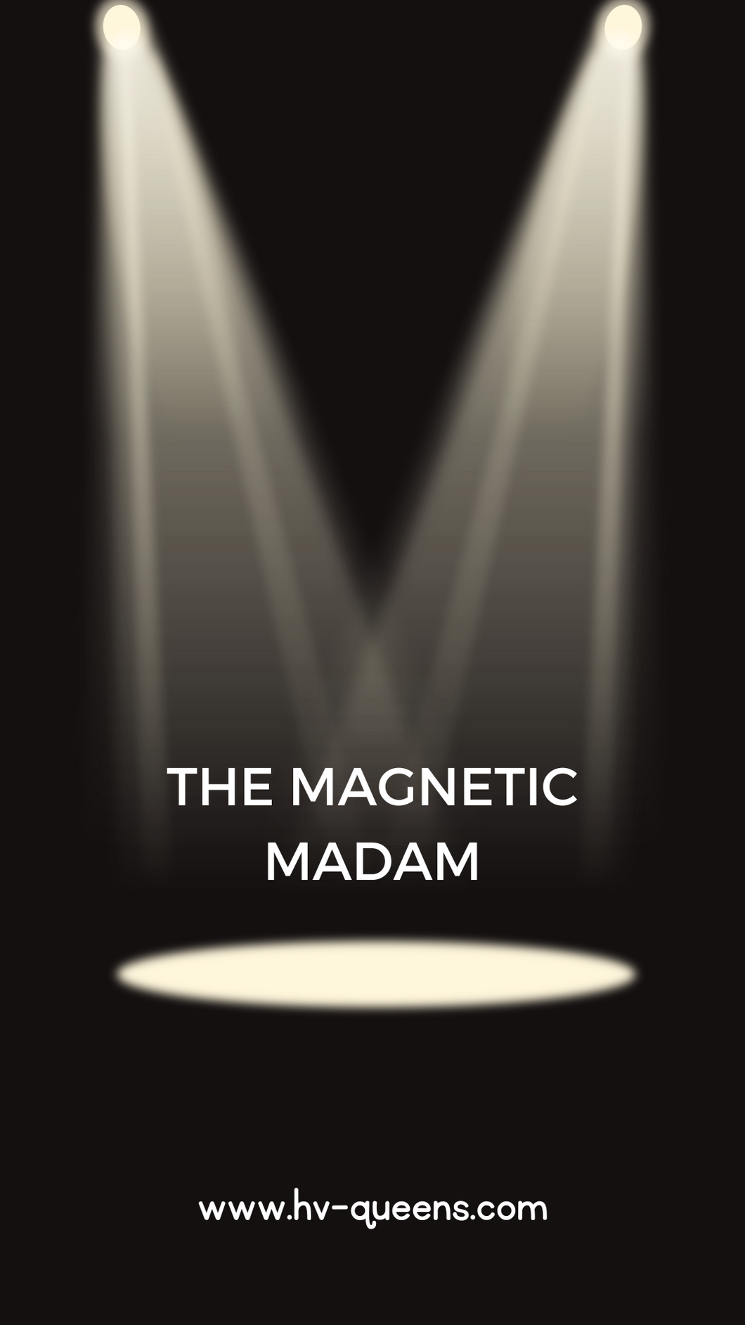 1-on-1 coaching program The Magnetic Madam